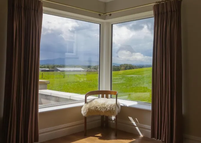 아파트 The Cows Field *